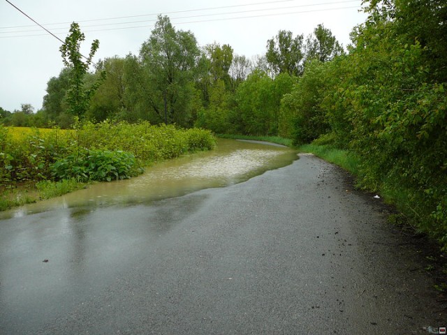 img00003.jpg