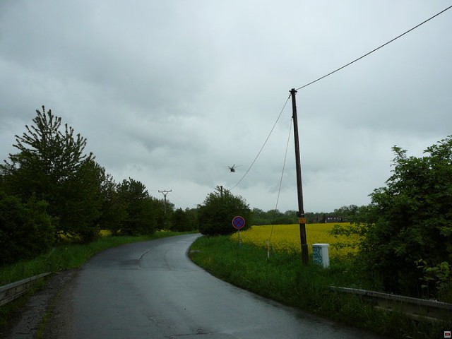 img00004.jpg