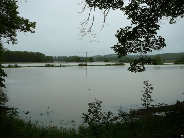 img00007.jpg