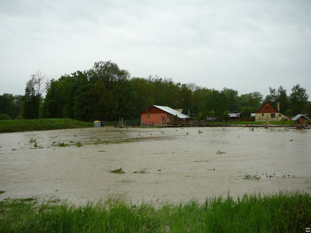 img00016.jpg