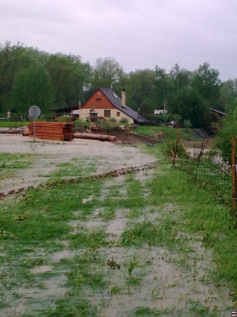 img00040.jpg