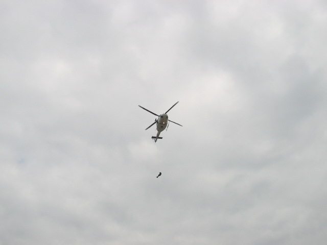 125-2559_IMG.JPG