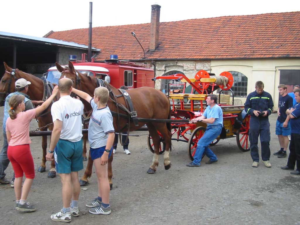 126-2645_IMG.jpg