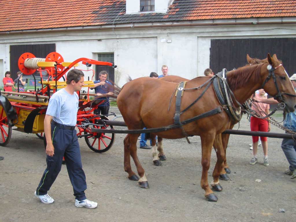 126-2646_IMG.jpg