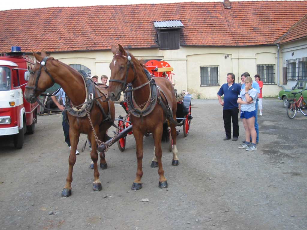 126-2647_IMG.jpg
