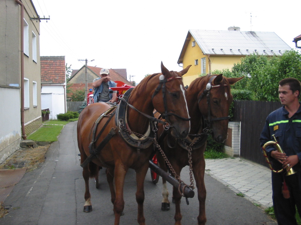 126-2656_IMG.JPG