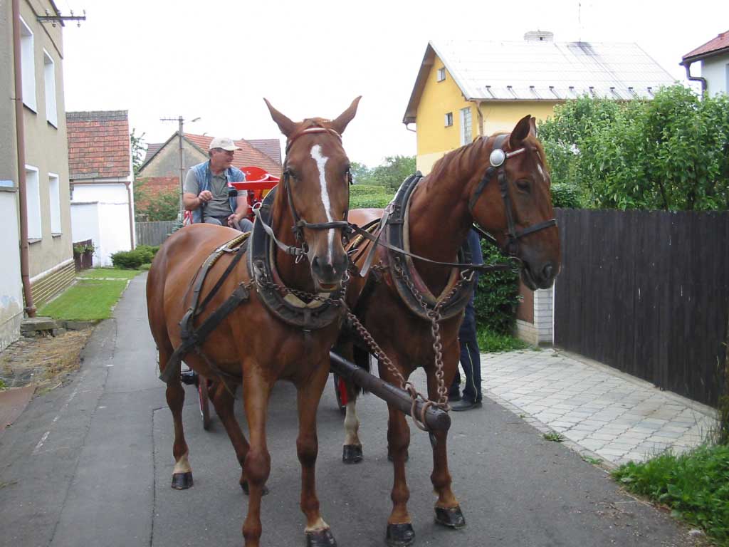 126-2657_IMG.jpg