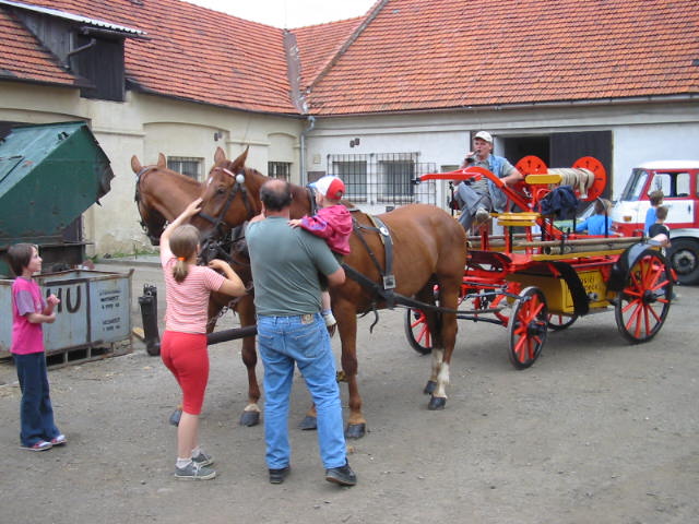 126-2681_IMG.JPG