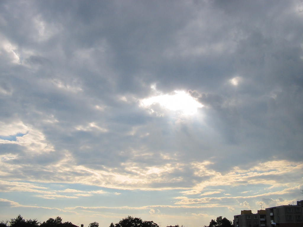 127-2717_IMG.JPG