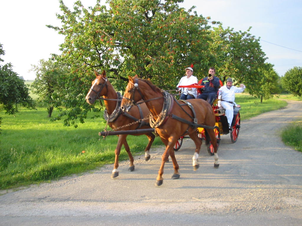 127-2737_IMG.JPG