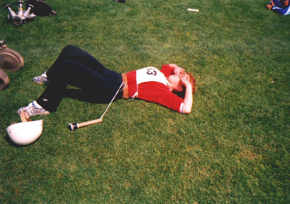 Sdh4.jpg