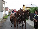 126-2656_IMG.JPG