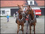 126-2680_IMG.JPG