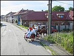 127-2705_IMG.JPG