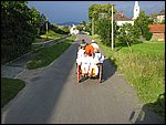 127-2721_IMG.JPG