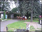 127-2730_IMG.JPG