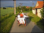 127-2733_IMG.JPG