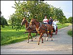 127-2737_IMG.JPG