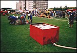 Sdh17.jpg
